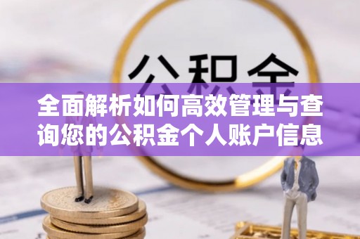 回民全面解析如何高效管理与查询您的公积金个人账户信息