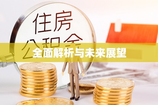 回民全面解析与未来展望