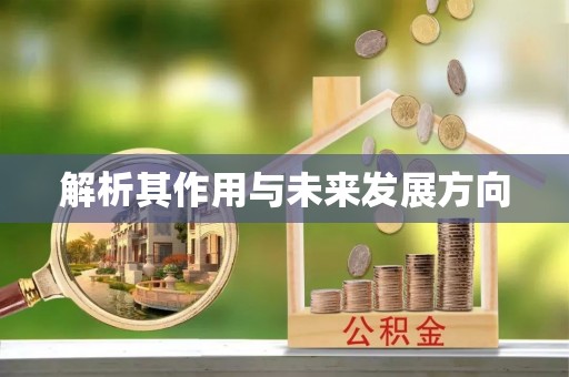 回民解析其作用与未来发展方向